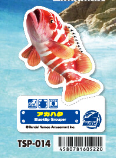 日本魚類貼紙