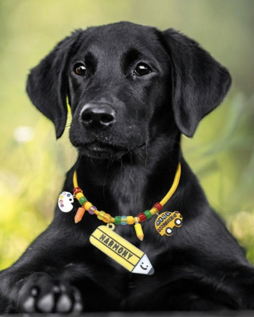 Customized Pet Necklace -Stationary Collection