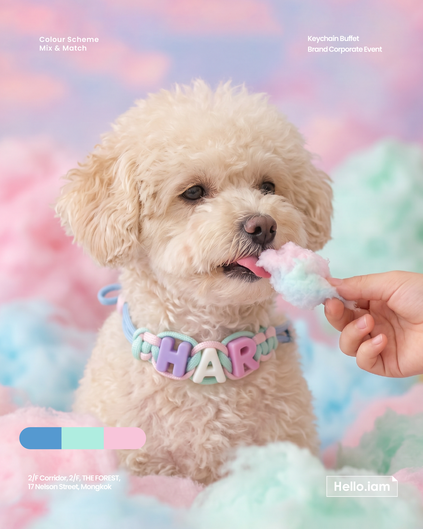 Pet Necklace - Cotton candy
