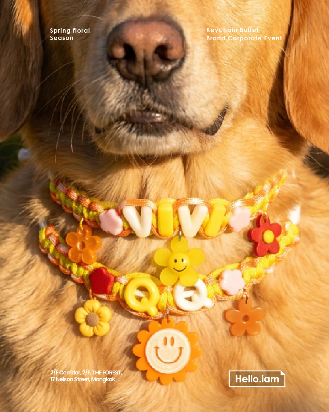 Pet Necklace - spring