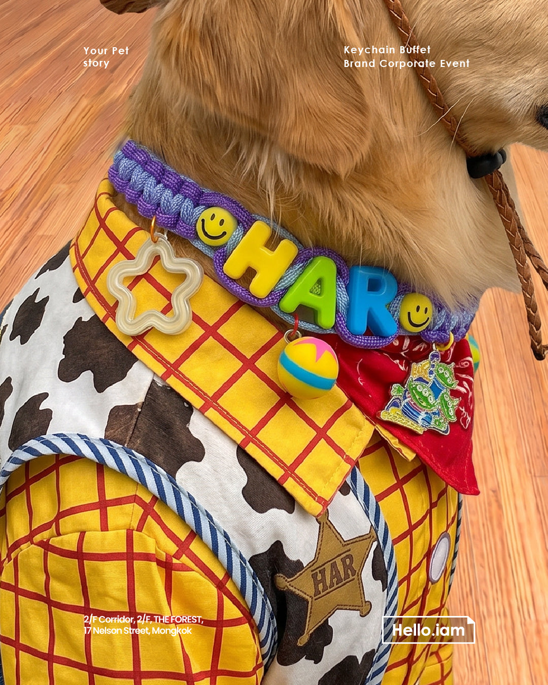 Pet Necklace - Your Pet Story