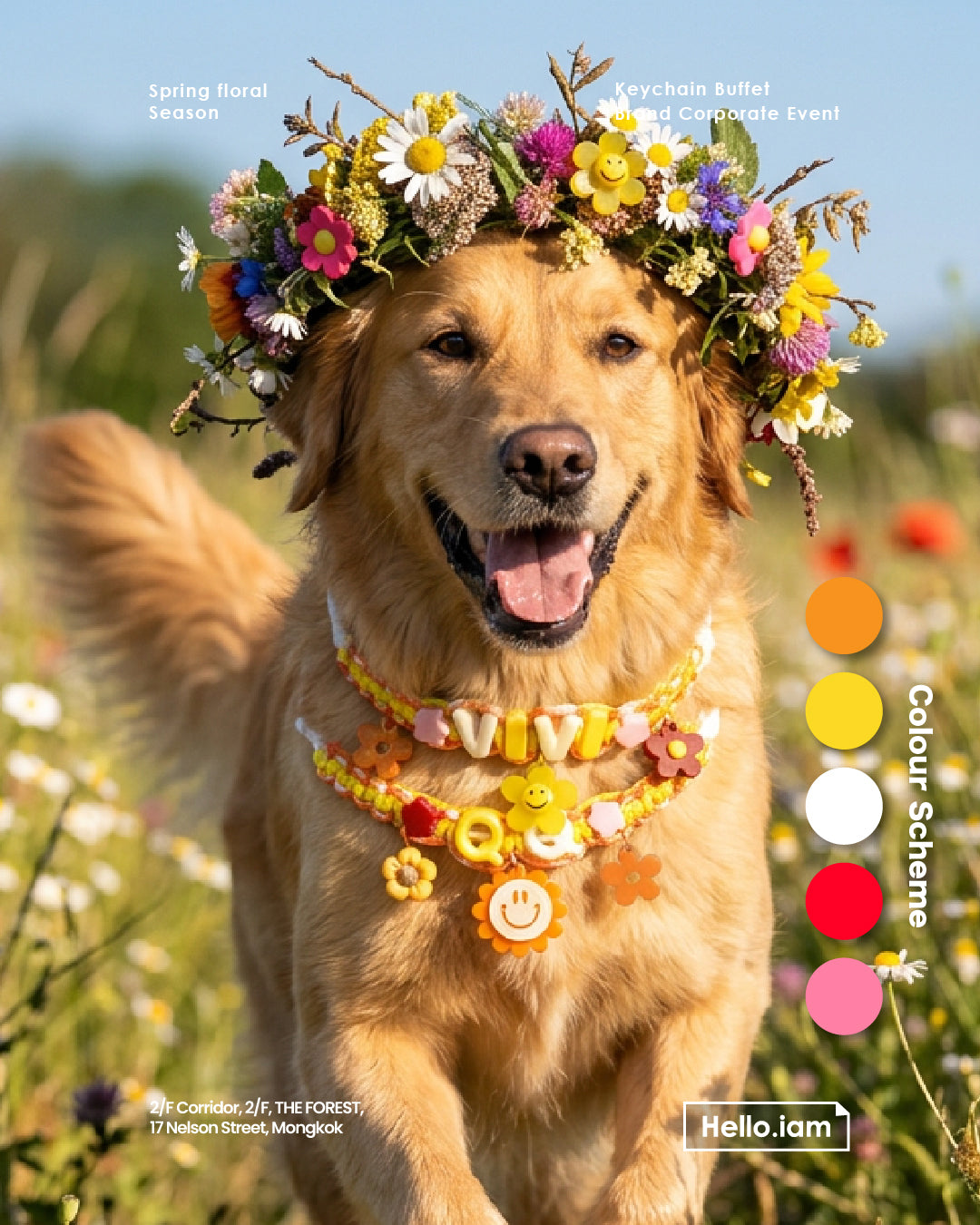 Pet Necklace - spring
