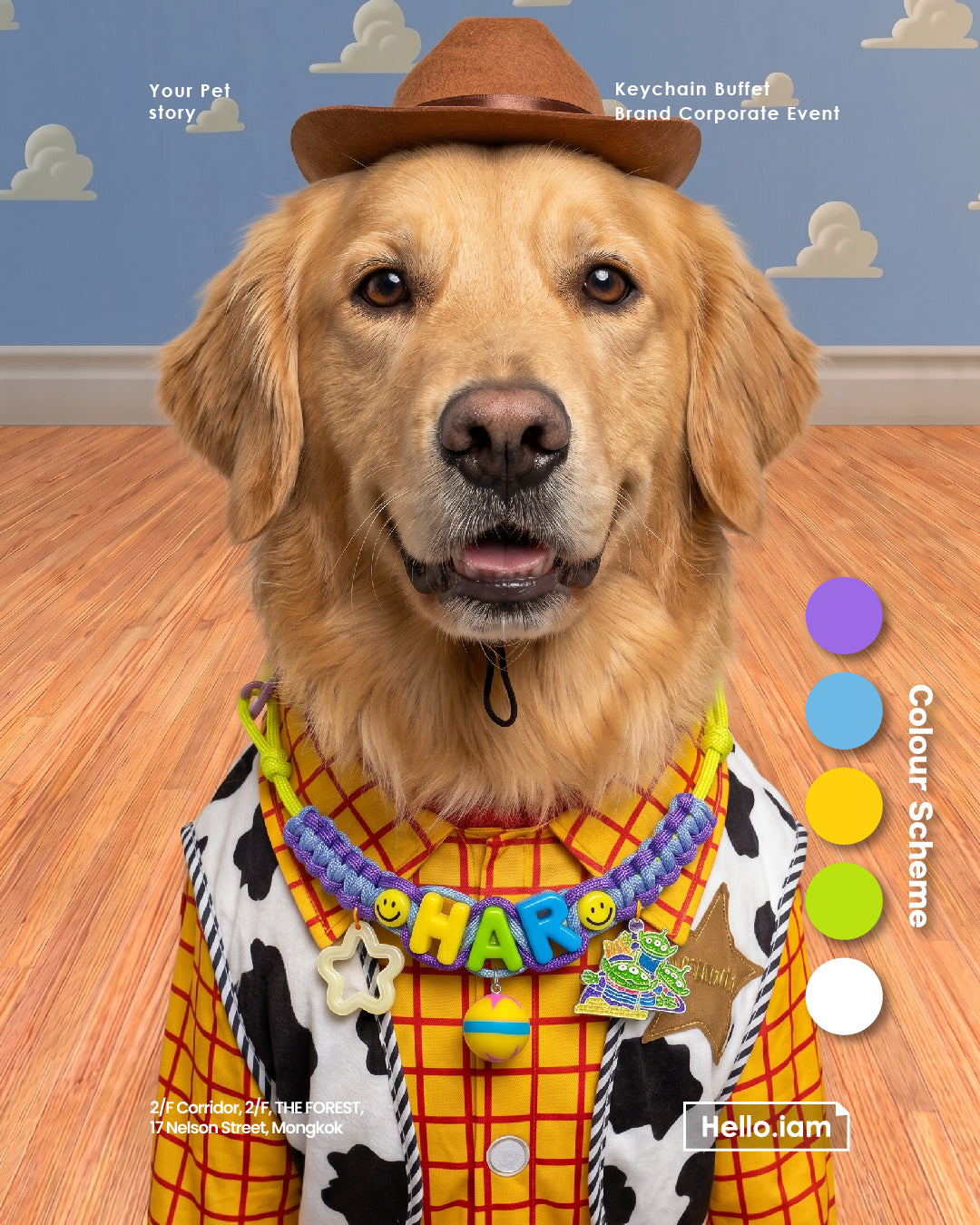 Pet Necklace - Your Pet Story