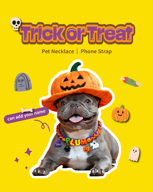 Customized Pet Necklace - Halloween