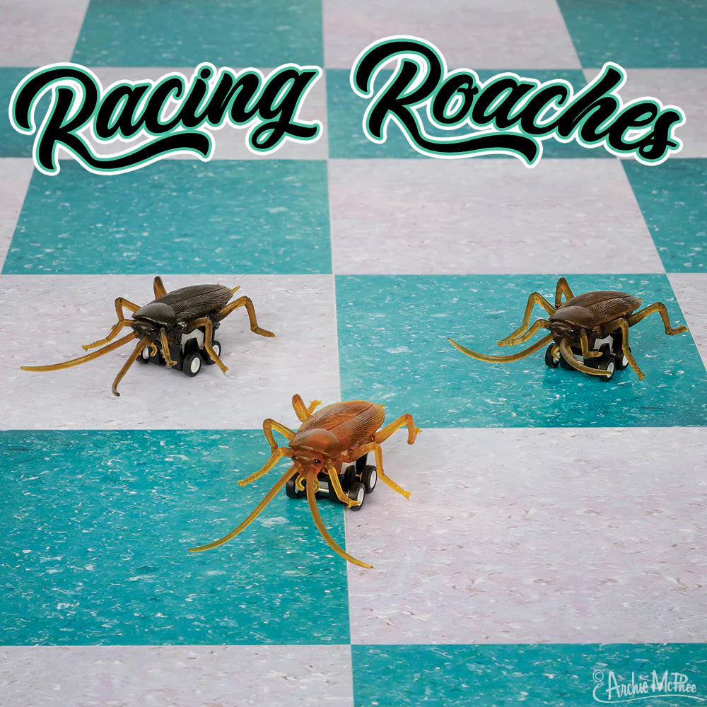 Archie McPhee - Racing Roaches Car