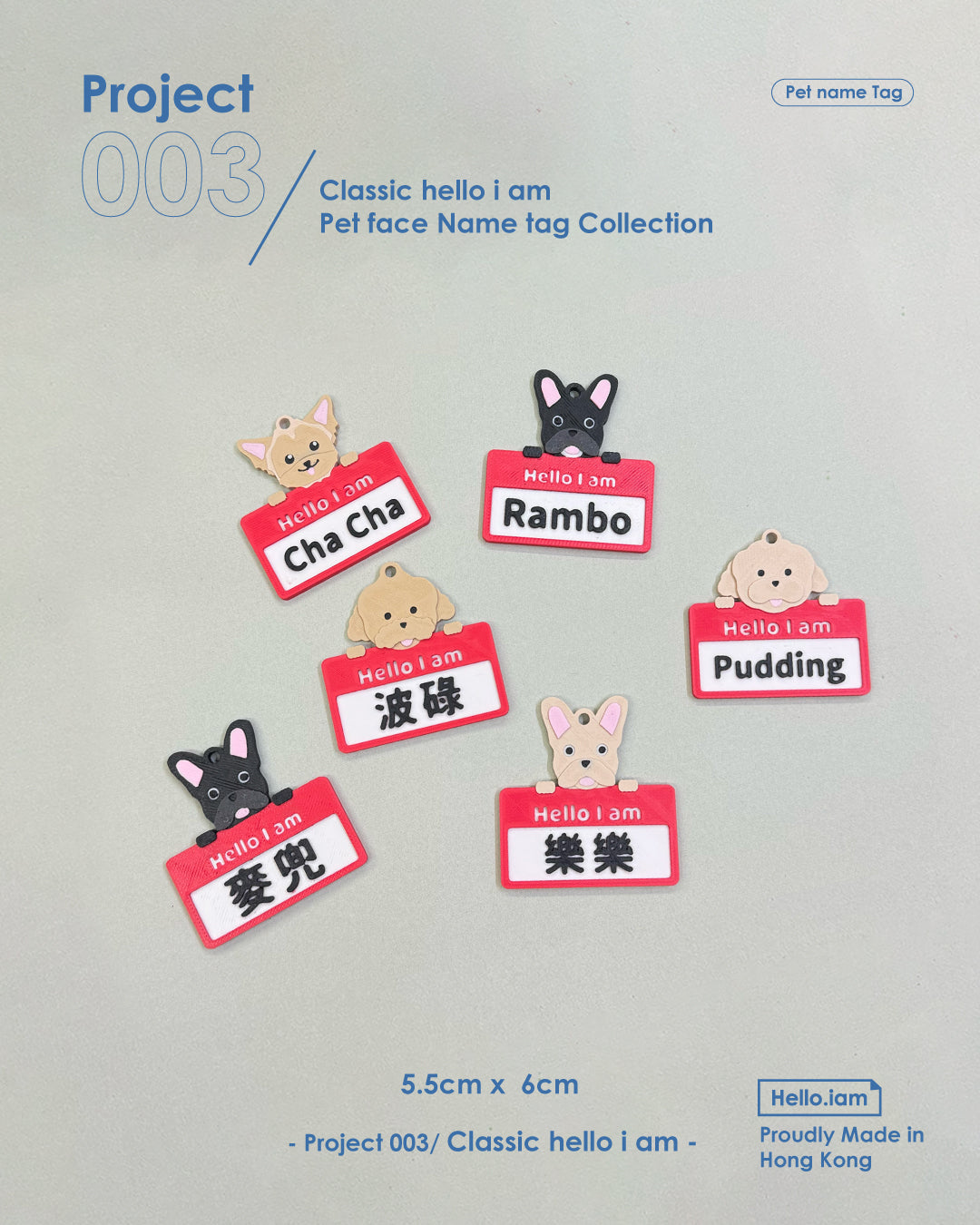 Keychain- Pet Face Hello I am