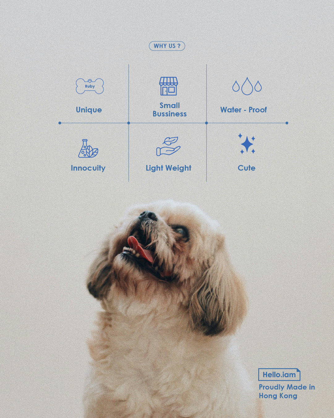 Pet Necklace -Stationary Collection