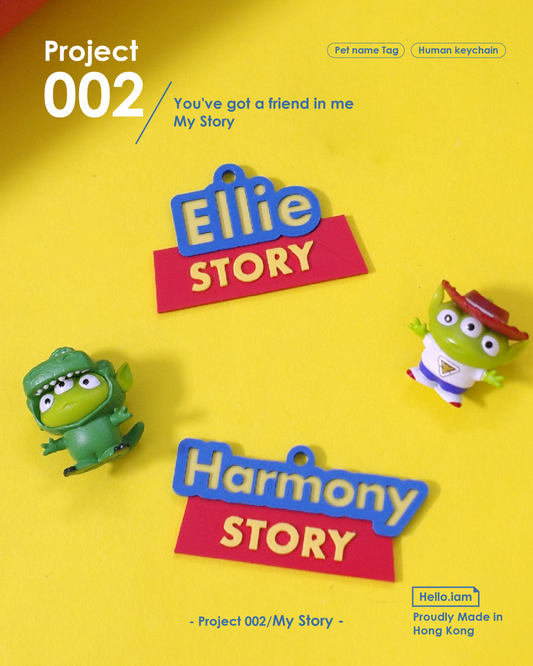 Keychain - You've got a friend in me